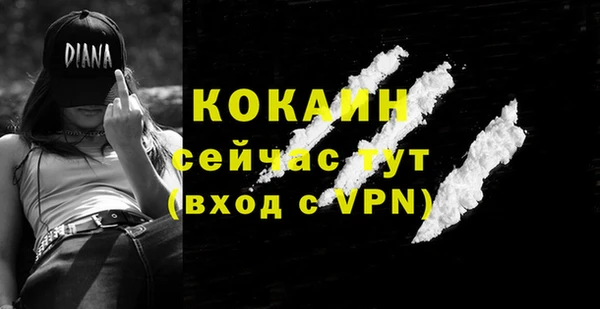 спиды Белокуриха