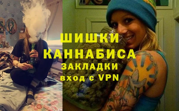 тгк Богородицк