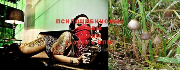 а пвп мука Богданович